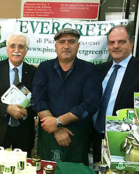 Pietro Bonaccorso (Evergreen)
